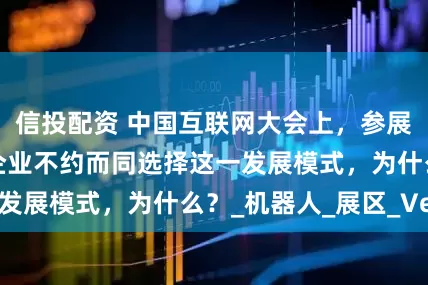 信投配资 中国互联网大会上，参展的众多AI应用企业不约而同选择这一发展模式，为什么？_机器人_展区_Vela